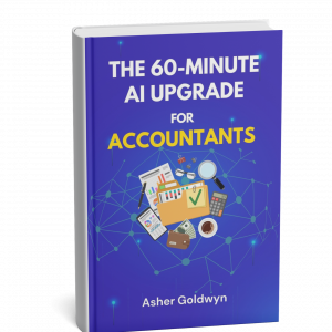 ai applicatios for accountants. how accountants